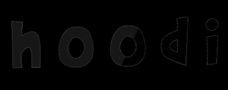 hoodi logo